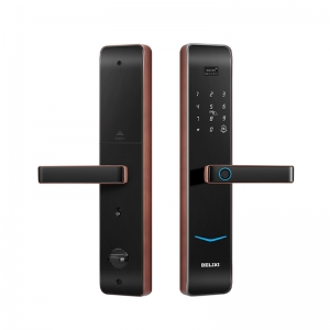 Cửa khóa thông minh Đức Lực B2